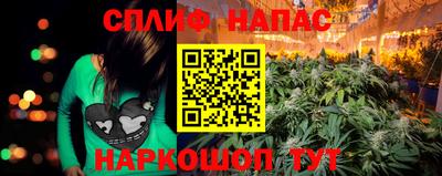 молекула духа Будённовск