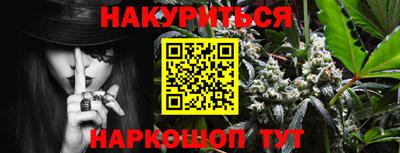 молекула духа Будённовск