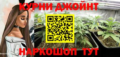 молекула духа Будённовск